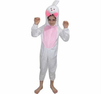 Rabbit Pet Animal Costume